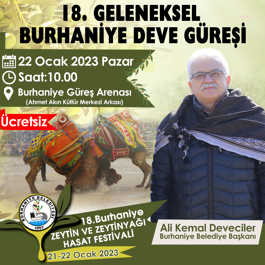 BURHANİYE DEVE GÜREŞLERİ İÇİN HAZIRLIKLAR TAMAMLANDI