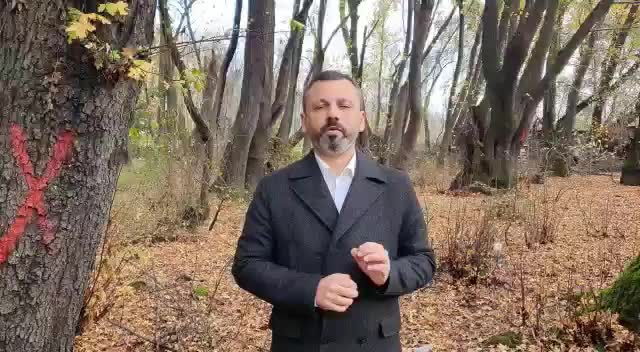 KÖYCEĞİZ'DE ORMANA GİDEN BURAK ERBAY: “DALAMAN İLÇEMİZDE DE 300 CİVARI GÜNLÜK AĞACININ KESİLDİĞİNİ ÖĞRENDİK, AĞAÇLARIMIZA SAHİP ÇIKMAK İÇİN ELİMİZDEN GELENİ YAPACAĞIZ”