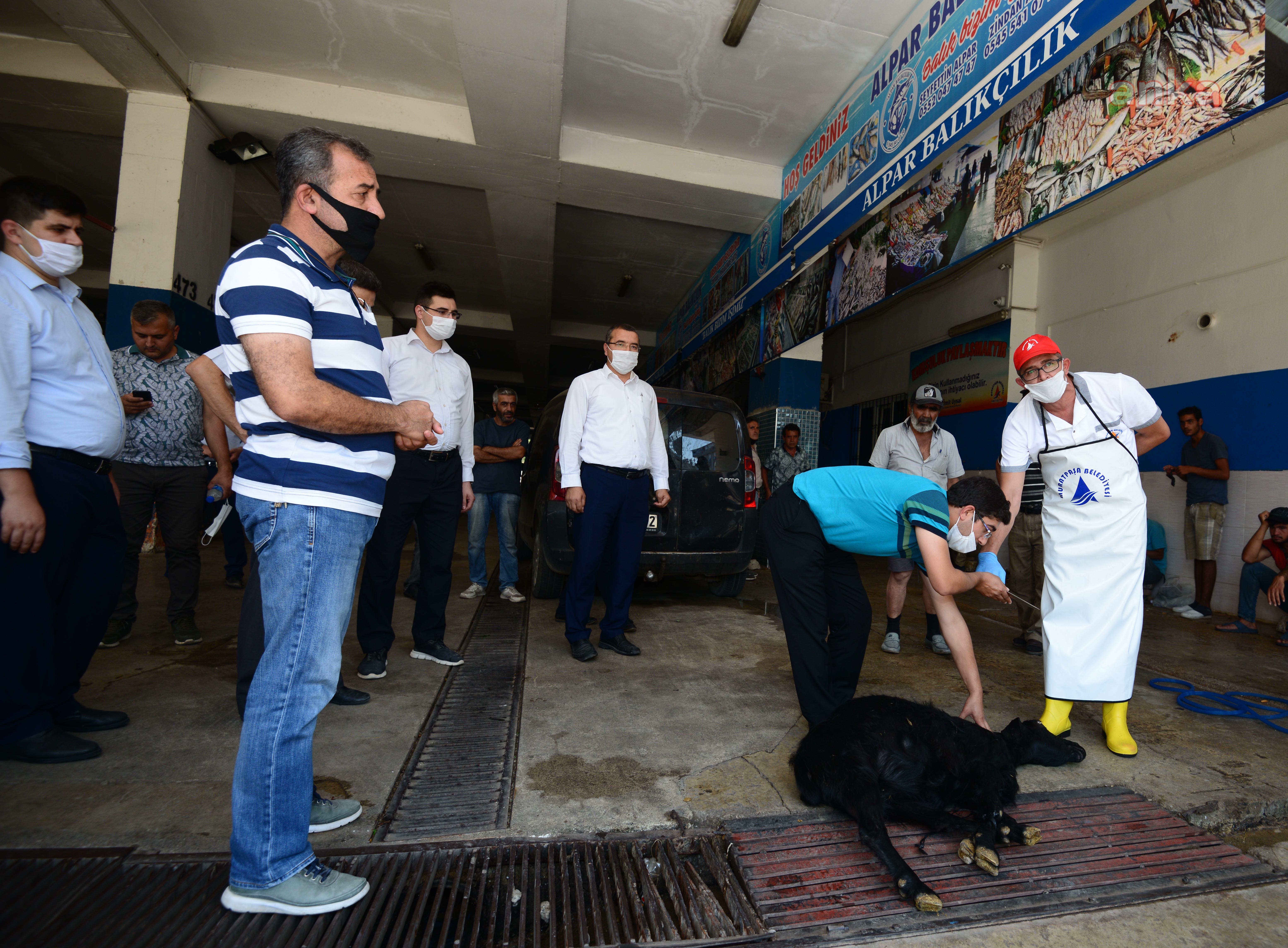 MURATPAŞA'DA KURBAN KESİM YERLERİNDE GÖREV ALACAK PERSONELLERE EĞİTİM VERİLDİ