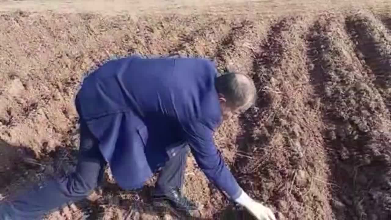 KURAKLIK TABLOSU AĞIRLAŞIYOR, OCAK AYINDA ARAZİLERİNİ SULAMAYA BAŞLAYAN ÜRETİCİLER: “SADECE 'TEDBİR', HÜKÜMET BAŞKA BİR ŞEY DEMİYOR”