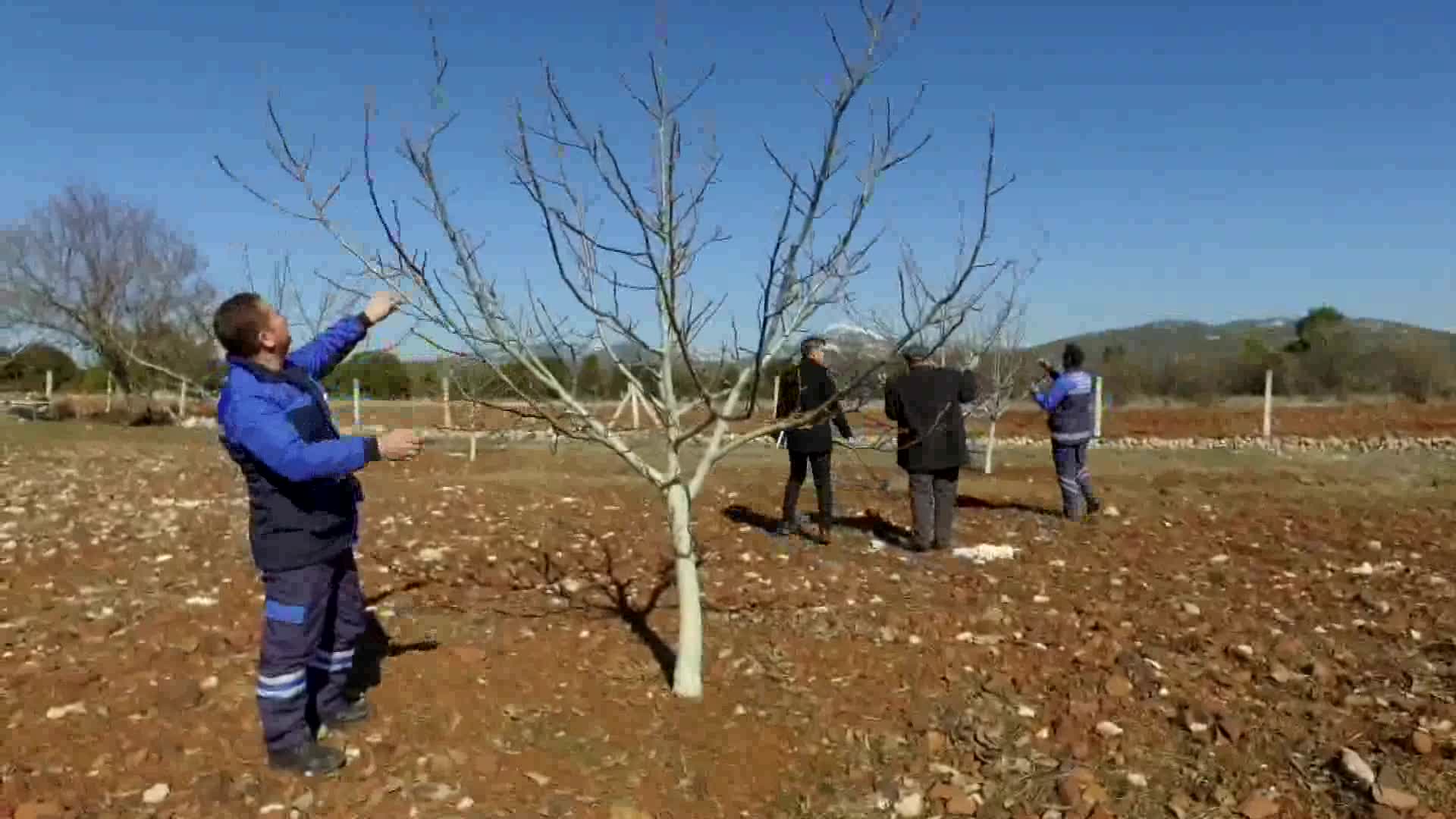 MUĞLA BÜYÜKŞEHİR’DEN TARIM VE HAYVANCILIĞA BÜYÜK DESTEK