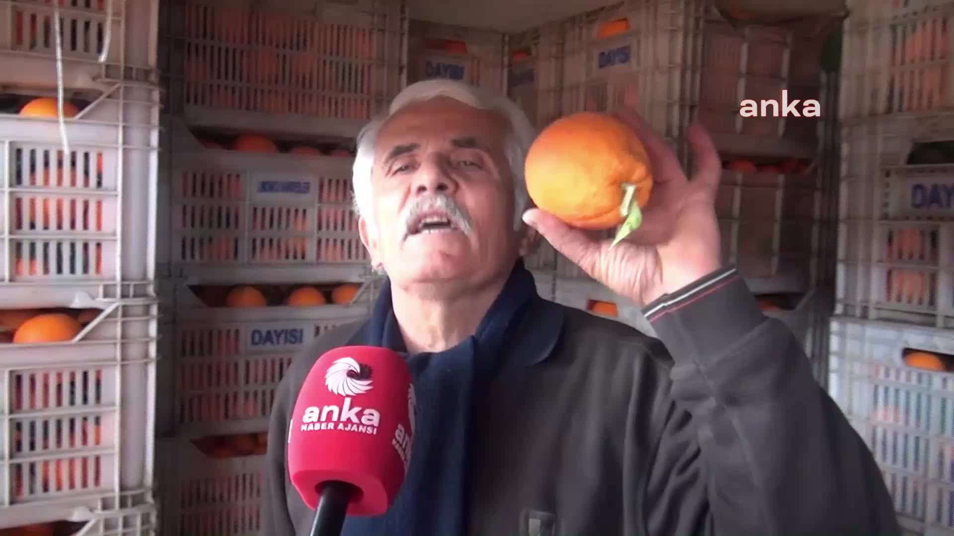 SİNOPLU PAZARCI: "BEN PORTAKALIN 3 KİLOSUNU 45 TL’DEN SATTIĞIM ZAMAN BENİM KARIM 4-5 TL. PARA MIDIR BU?"