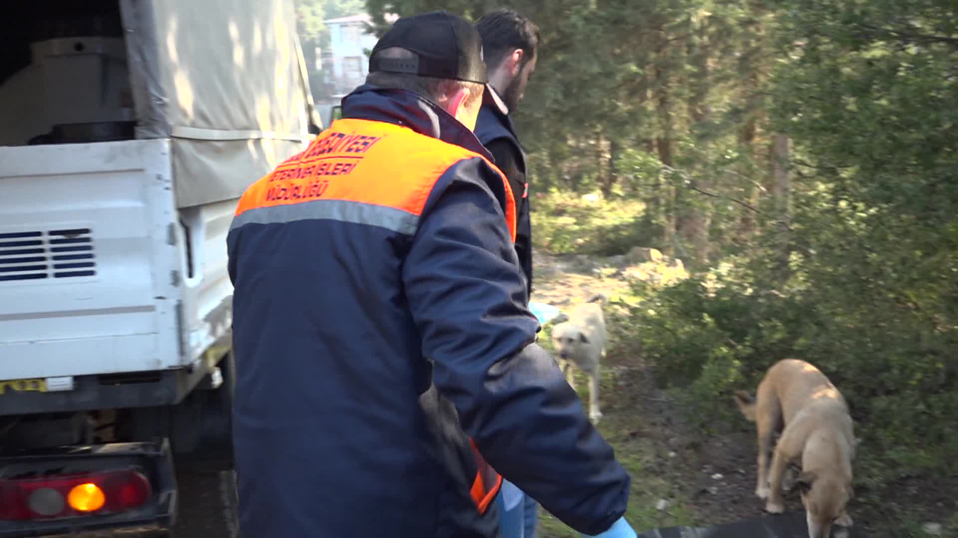 BUCA BELEDİYESİ’NDEN SOKAK HAYVANLARI İÇİN 'ATIK YEMEK' SEFERBERLİĞİ