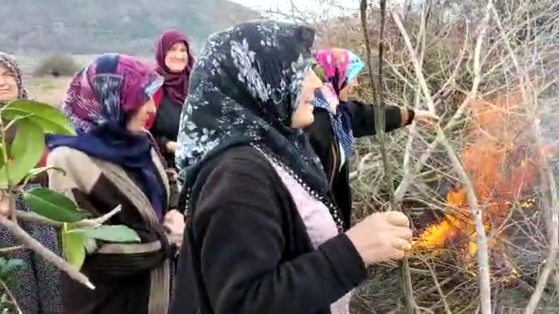 AMASYA ÇAMBÜKÜ’NDE ORGANİZE SANAYİ BÖLGESİ PLANINA KARŞI DİRENEN KADINLAR, MAHKEMENİN DURDURMA KARARININ ARDINDAN MERA ALANLARINA MEYVE FİDAN DİKTİ