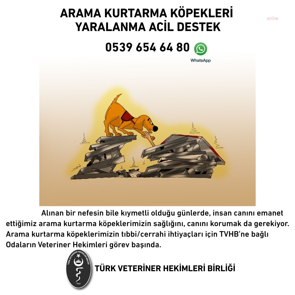 TÜRK VETERİNER HEKİMLERİ BİRLİĞİ, DEPREM BÖLGESİNDEKİ HAYVANLARA TEDAVİ VE MAMA DESTEĞİ VERİYOR