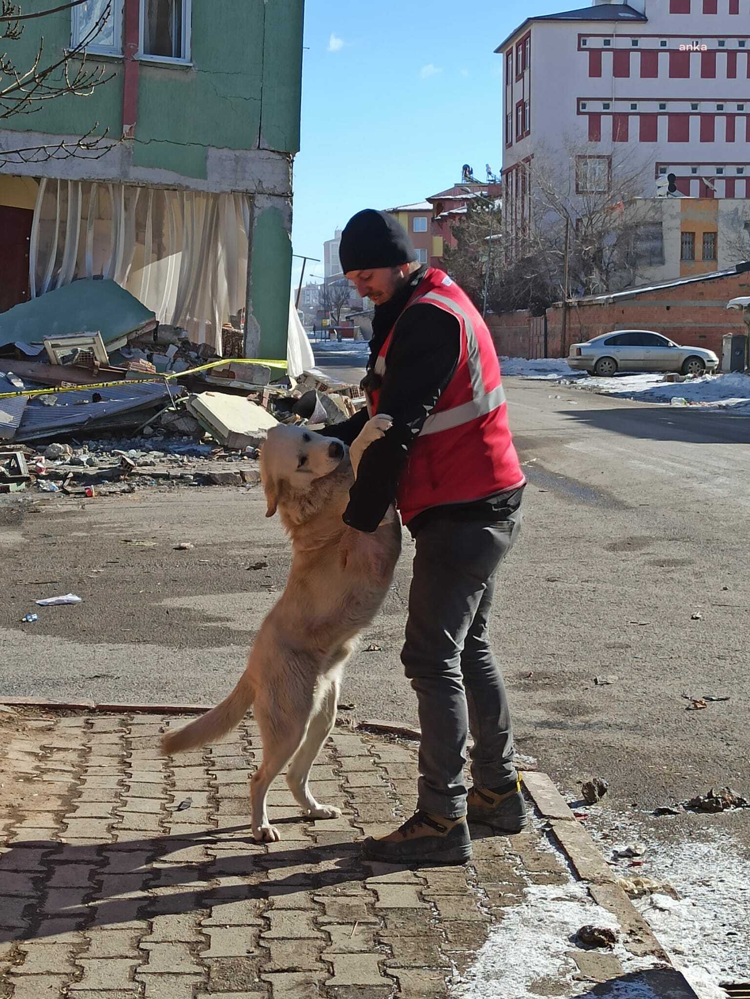 KONYAALTI BELEDİYESİ, AFET BÖLGESİNDEKİ CAN DOSTLARI UNUTMADI