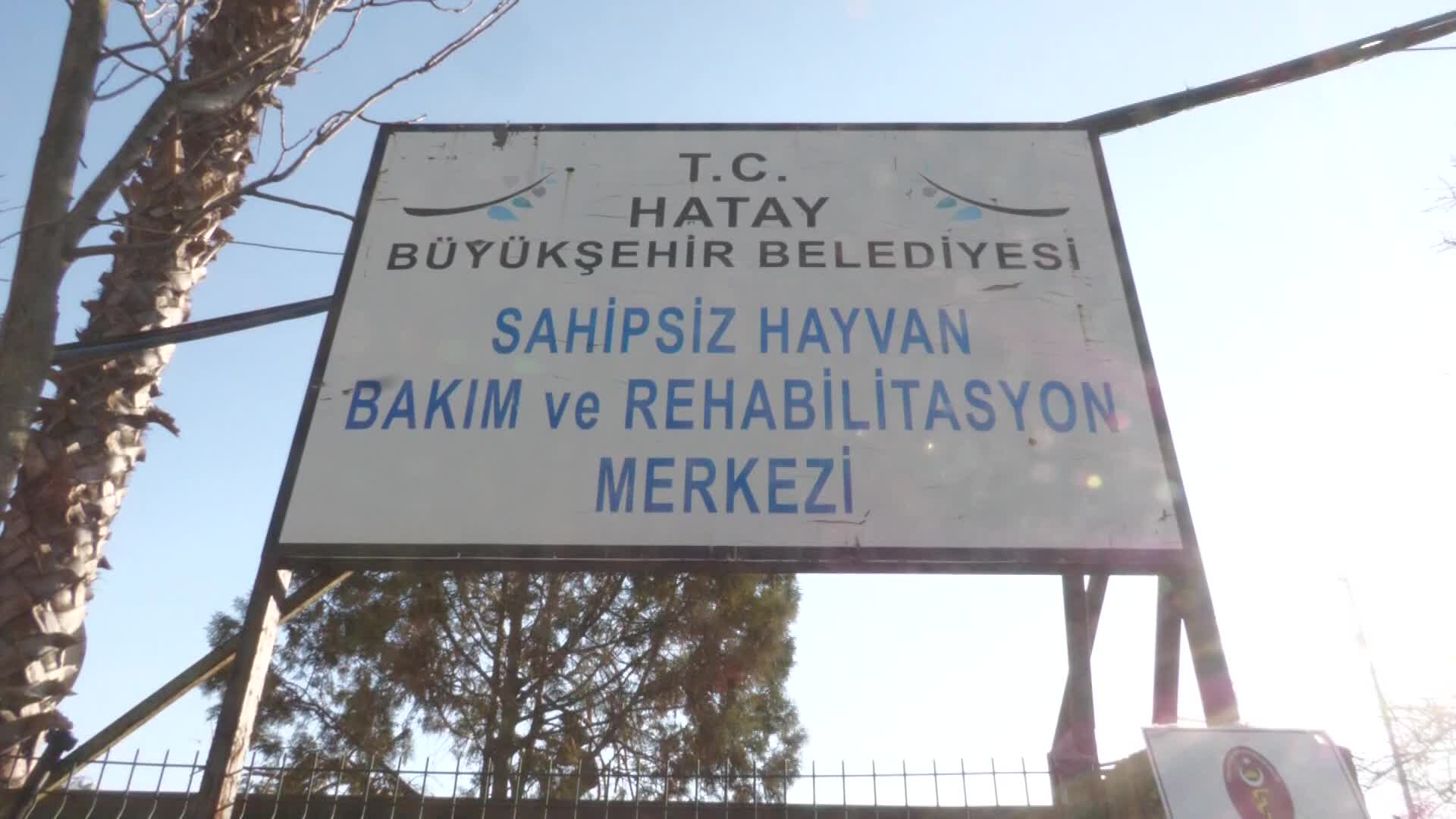 DEPREM BÖLGESİNDEKİ CAN DOSTLARIN İMDADINA TVHB'NİN GÖREVLENDİRDİĞİ VETERİNER HEKİMLER YETİŞTİ: “ENKAZDAN KURTARILAN HAYVANLARIN ACİL MÜDAHALELERİNİ YAPIYORUZ”