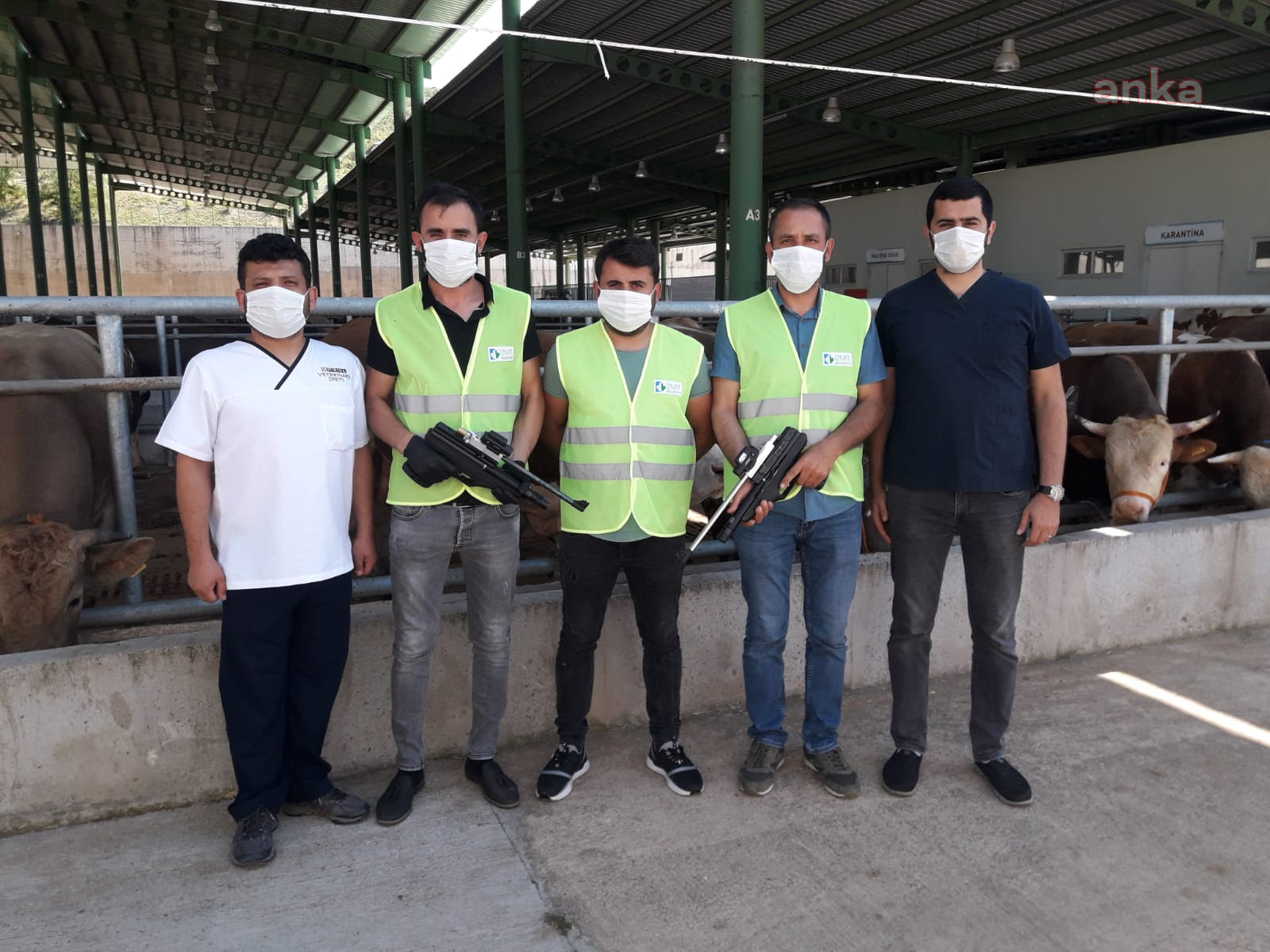 İZMİT BELEDİYESİNİN BOĞA YAKALAMA TİMİ GÖREVE HAZIR