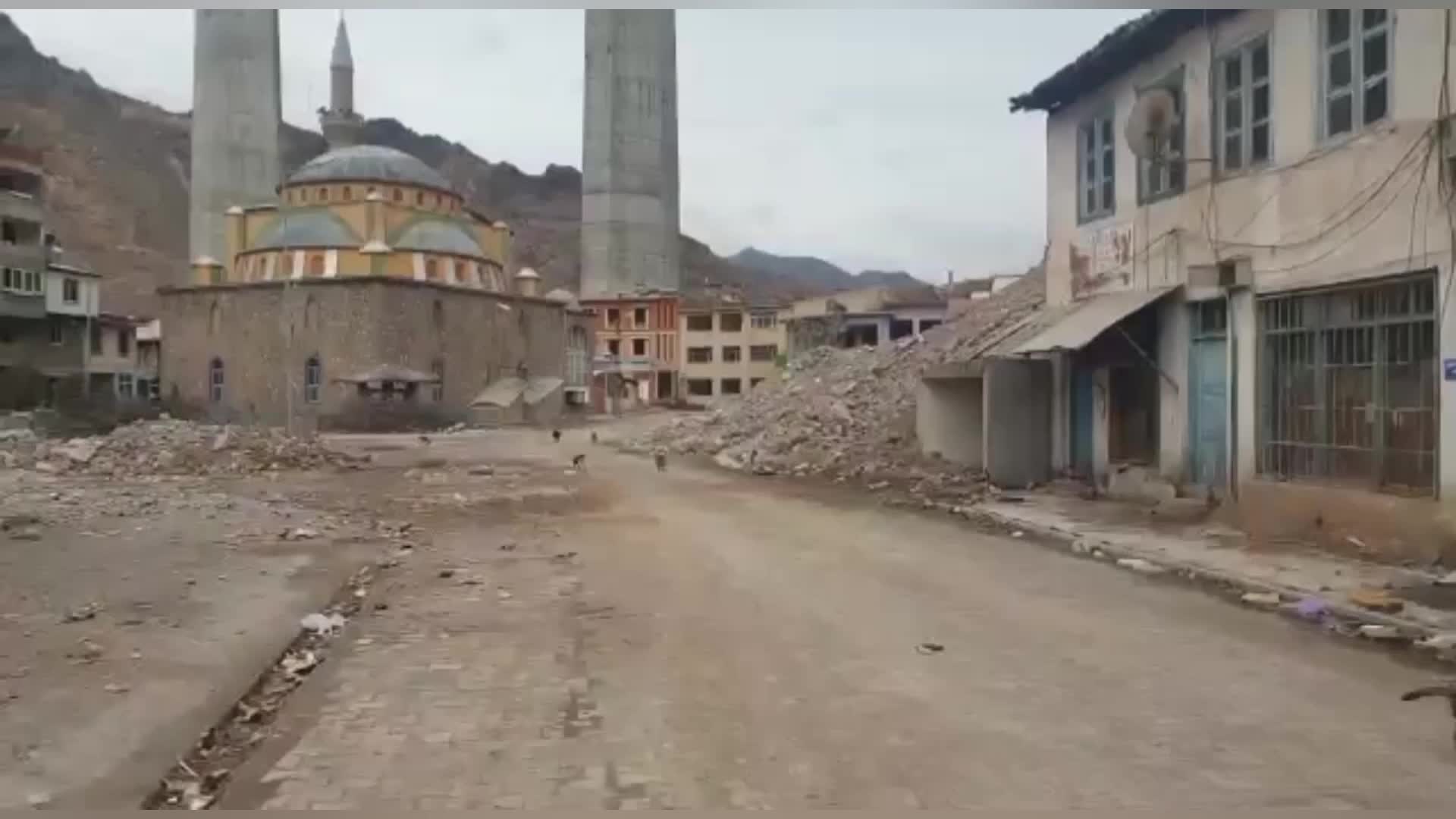 TAŞINAN YUSUFELİ İLÇESİNDE KALAN SOKAK HAYVANLARI AÇ KALMA TEHLİKESİYLE KARŞI KARŞIYA