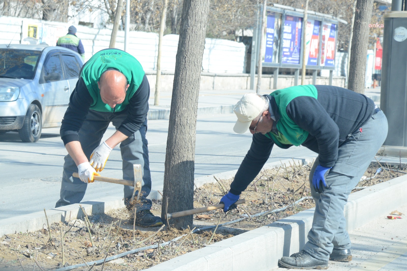 KIRŞEHİR BELEDİYESİ EKİPLERİ, ŞEHİR İÇİ PEYZAJ ÇALIŞMALARINA HIZ VERDİ