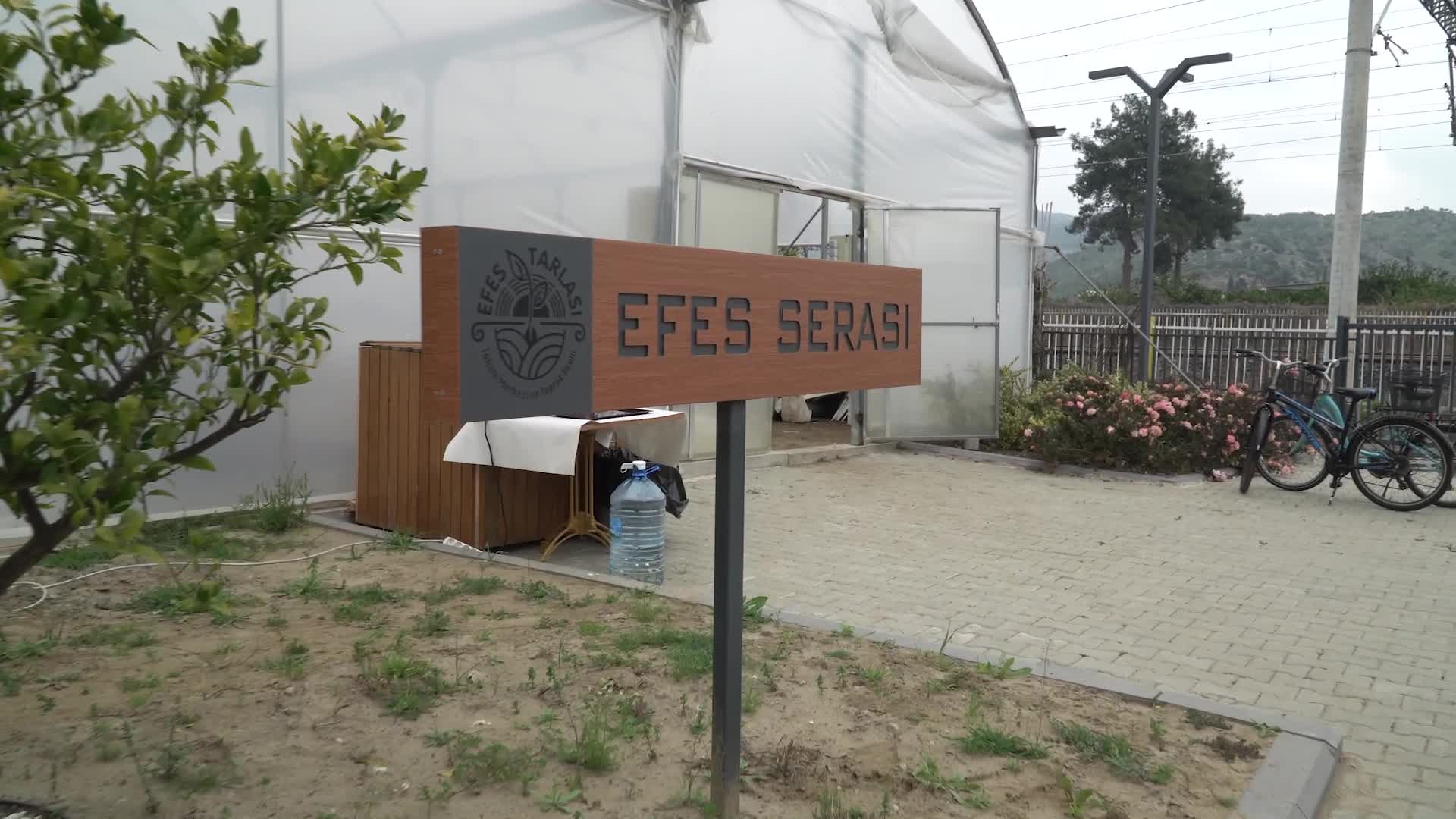EFES SELÇUKLU KADINLAR DEPREM BÖLGESİYLE FİDE DAYANIŞMASINI BAŞLATTI
