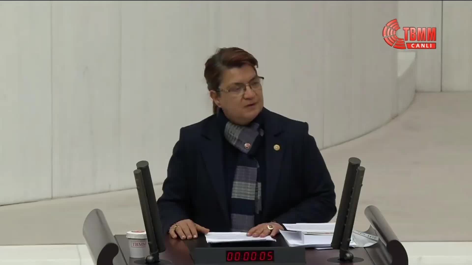 CHP'NİN "AFETLERDE KADINLARIN SORUNLARI"NIN ARAŞTIRILMASI ÖNERİSİ, AKP VE MHP'Lİ VEKİLLERİN OYLARIYLA REDDEDİLDİ