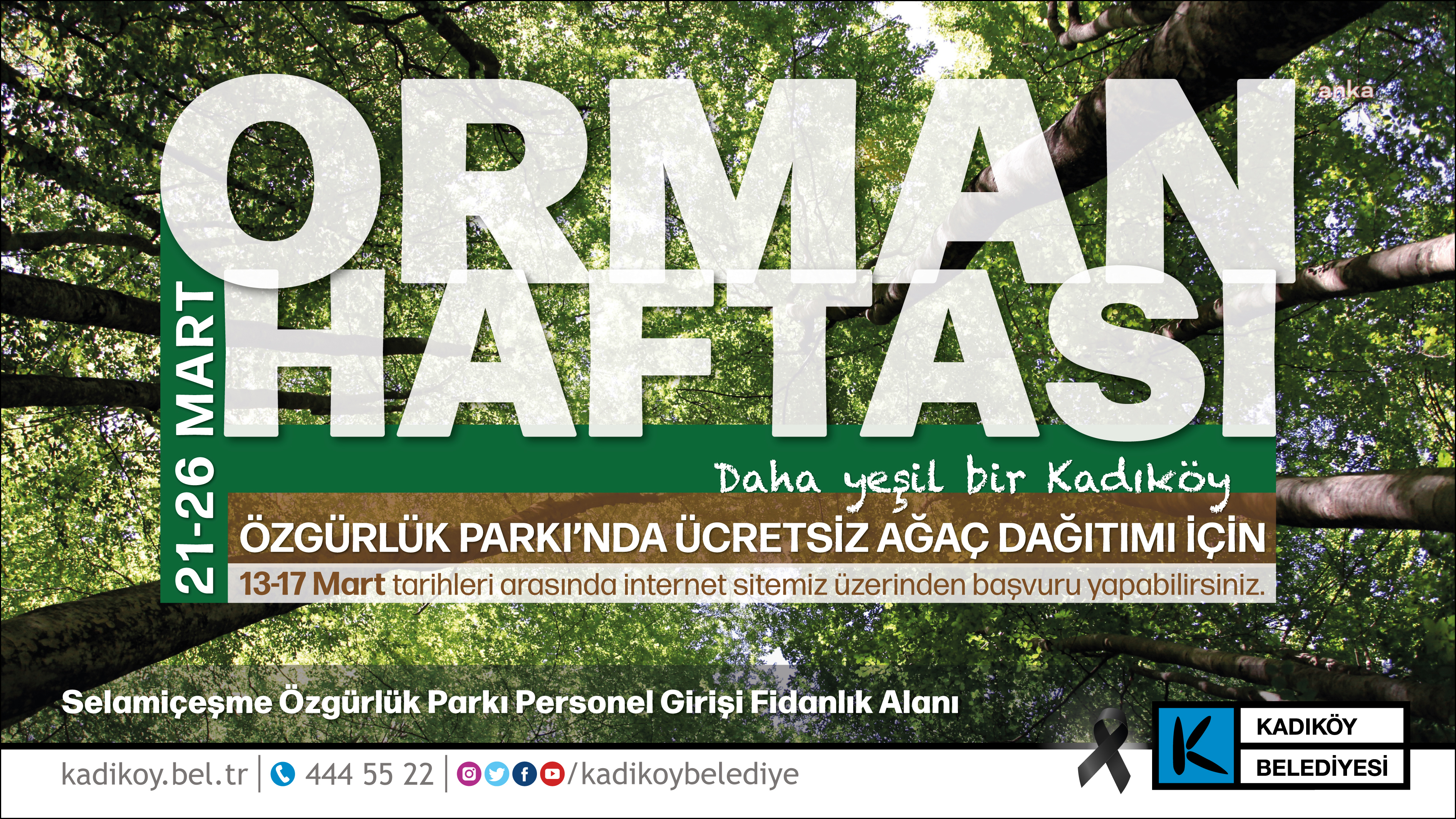 'DAHA YEŞİL KADIKÖY' İÇİN ÜCRETSİZ AĞAÇ DAĞITIMI