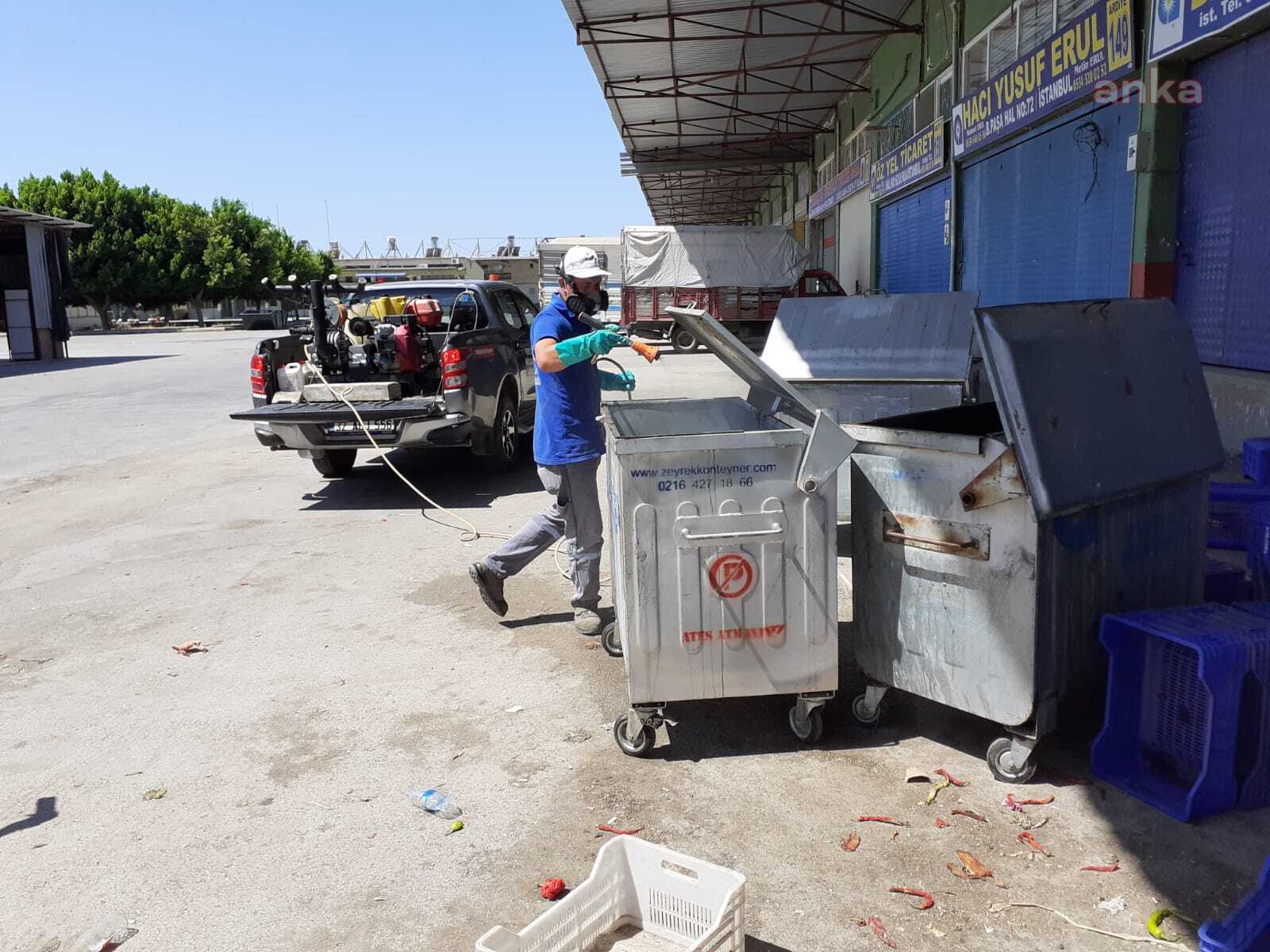 KUMLUCA VE BEYKENT TOPTANCI HALİ, HAŞERELERE KARŞI İLAÇLANDI