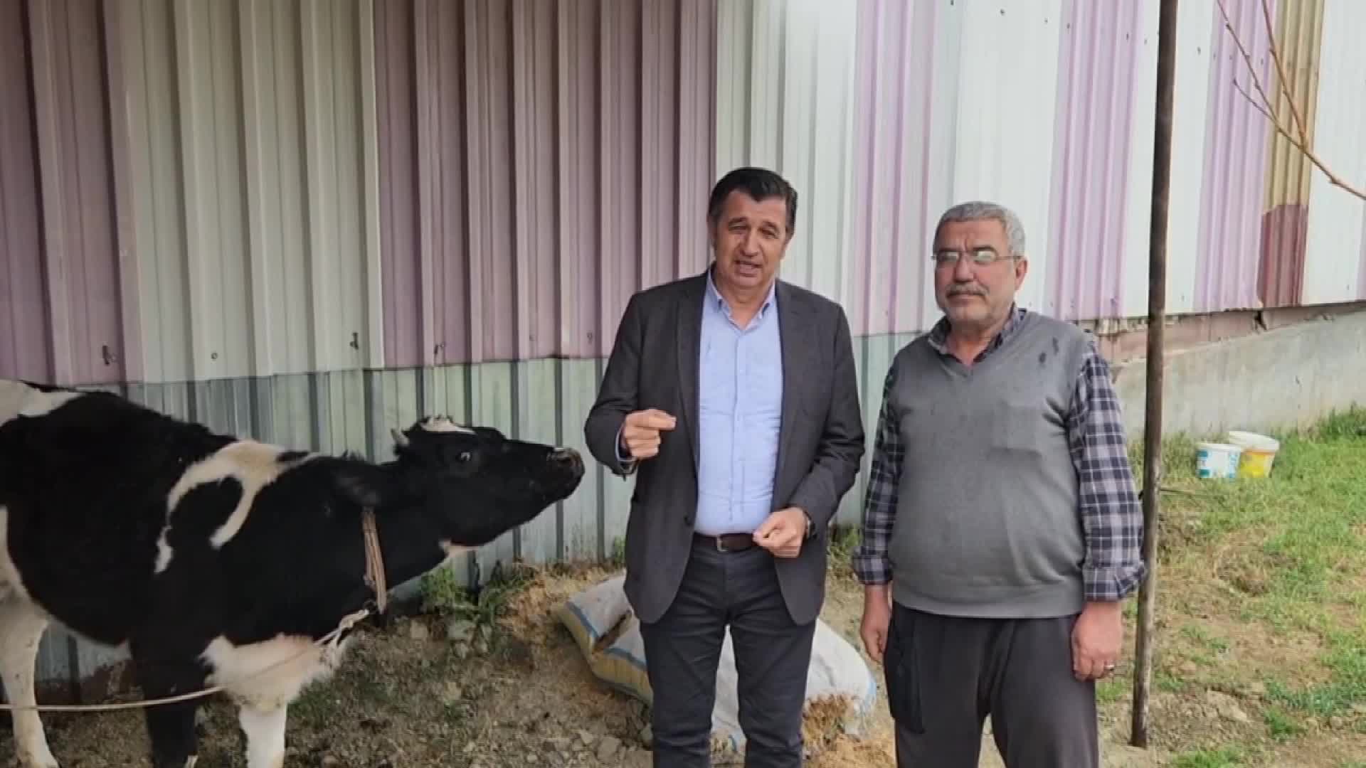 OKAN GAYTANCIOĞLU: "ŞAP AŞILARI ÜCRETSİZ OLMALI"