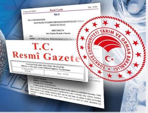 KALKINMA AJANSLARININ DESTEK SÜREÇLERİNE OHAL DÜZENLEMESİ: UYGULAMAYA İLİŞKİN DEĞİŞİKLİK YAPMA YETKİSİ BİR YILLIĞINA SANAYİ BAKANLIĞI'NA VERİLDİ