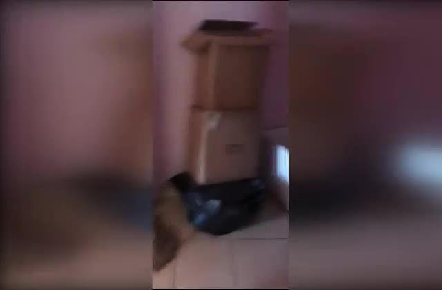 ÖĞRENCİLERE DAL SİGARA SATIŞI YAPAN ŞAHISLARA OPERASYON