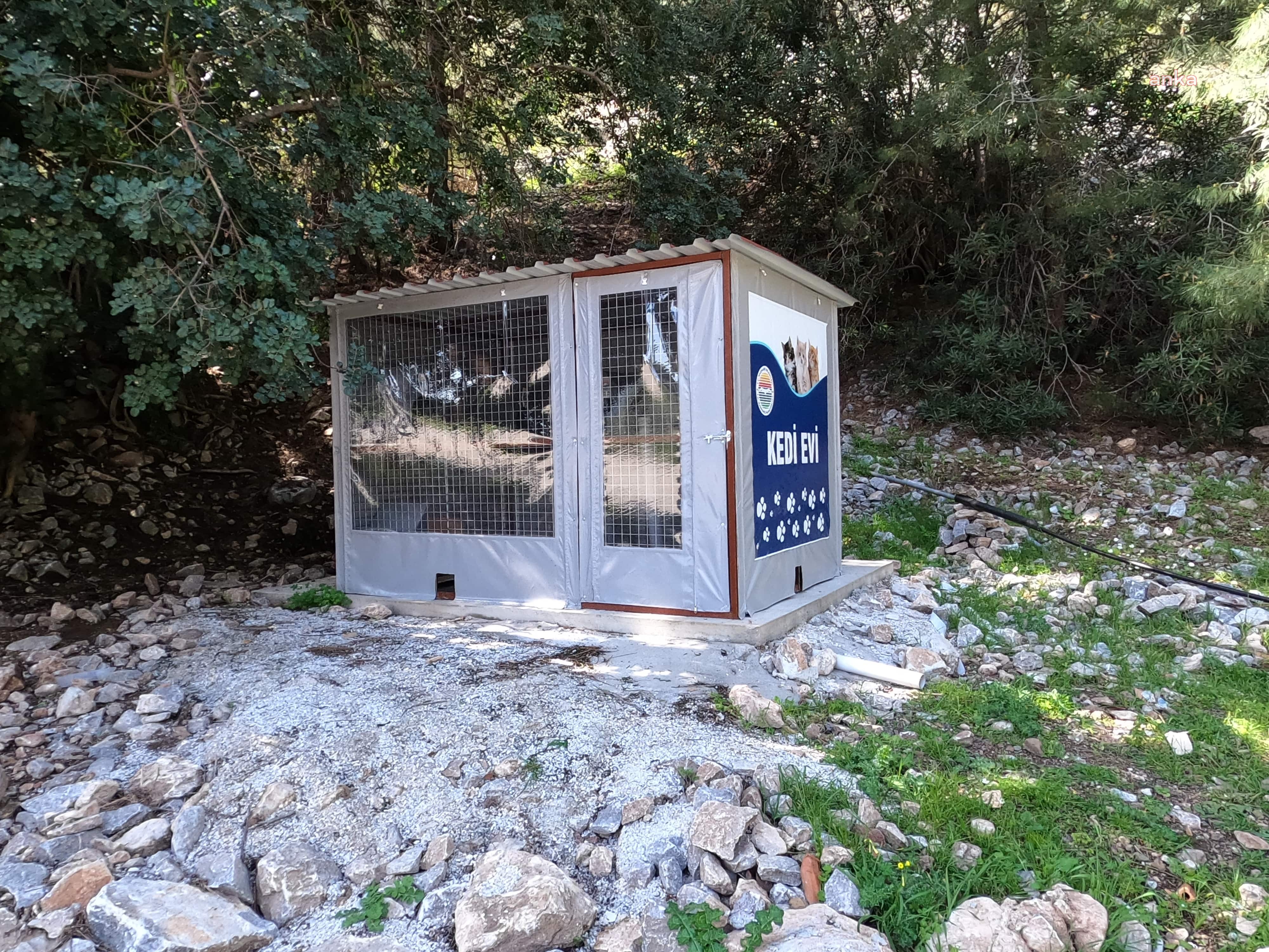 MARMARİS’İN KEDİLERİ ‘EV’LENDİ