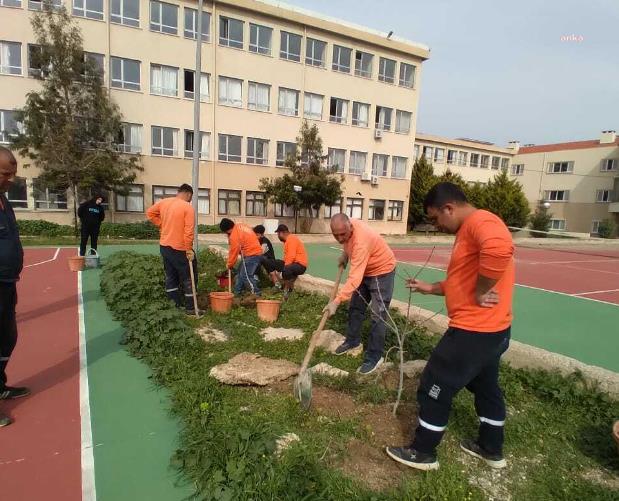 ÇEŞME BELEDİYESİ, İLÇEDEKİ TÜM OKULLARIN BAHÇESİNE MEYVE AĞACI DİKTİ