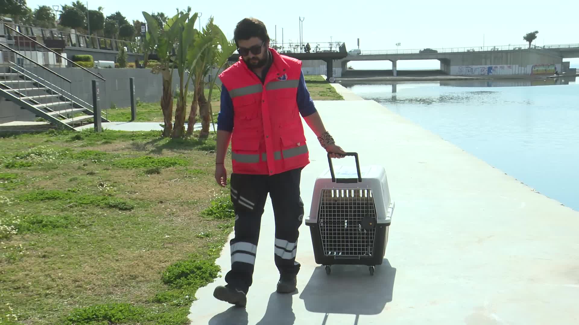 BÜYÜKŞEHİR BELEDİYESİ ANTALYA DOĞAL YAŞAM PARKI’NDA TEDAVİ EDİLEN KARABATAK, BOĞAÇAYI’NA SALINDI