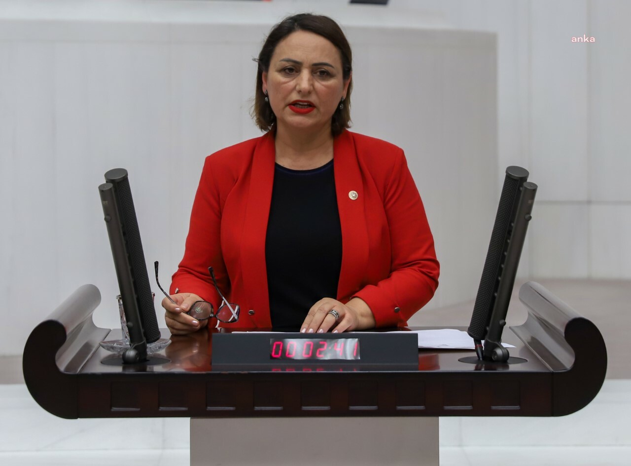 MÜZEYYEN ŞEVKİN’DEN FUAT OKTAY’A: “ORDU, DEPREM ANINDA NEDEN HAREKETE GEÇMEDİ”