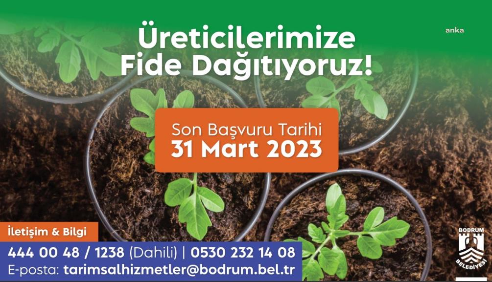 BODRUM BELEDİYESİ’DEN ÇİFTÇİYE FİDE DESTEĞİ: DESTEK ALMAK İSTEYENLER 31 MART'A KADAR BAŞVURABİLECEK
