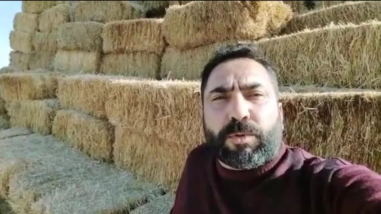 ÇİFTÇİ; ET FİYATLARININ YÜKSELİŞİNİ, SÜT ÜRETİMİ İLE AÇIKLADI: “KESİLEN DAMIZLIK DİŞİ HAYVAN, BİR FABRİKANIN KAPANIŞIYLA EŞ DEĞER”