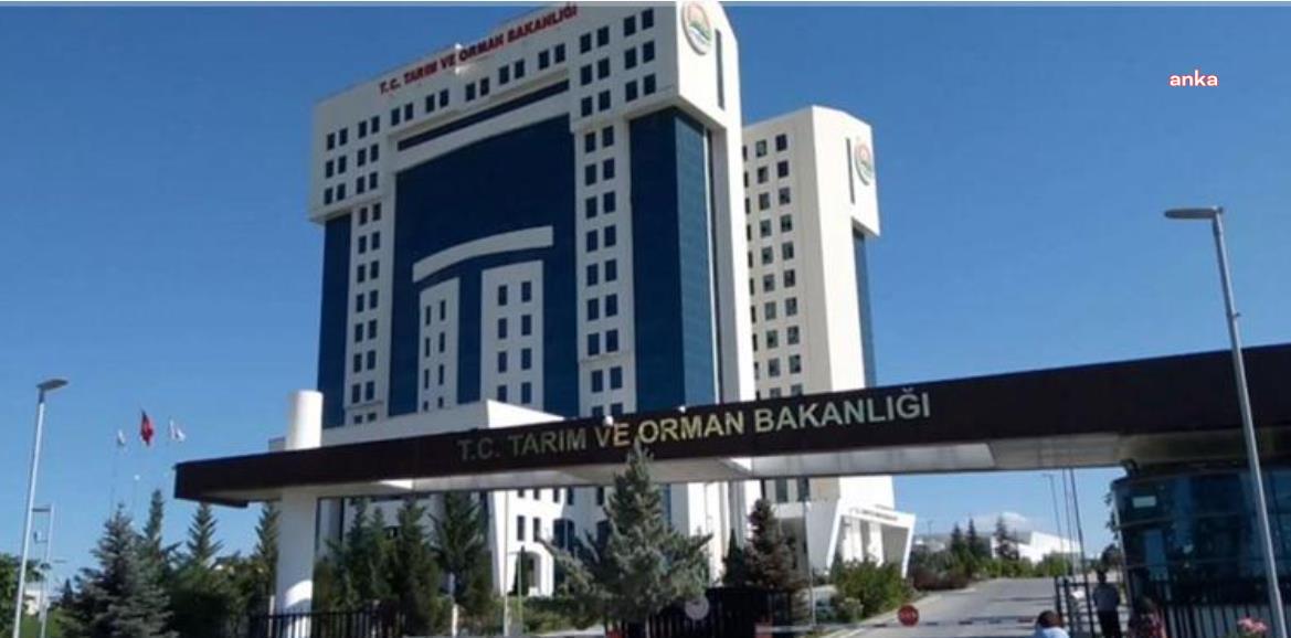 TARIM VE ORMAN BAKANLIĞI "500 BİN BAŞLIK SIĞIR İTHALATI" İÇİN DUYURU YAYINLADI