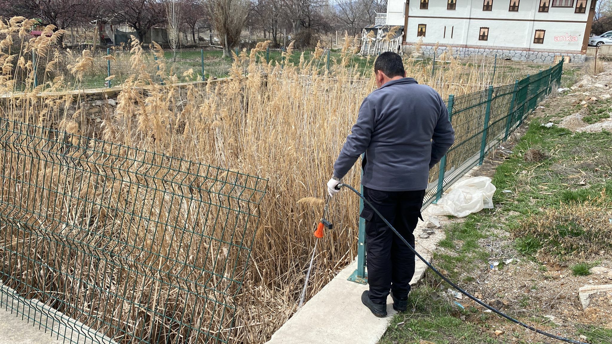 KIRŞEHİR BELEDİYESİ EKİPLERİ, SİNEK VE HAŞERELERE KARŞI İLAÇLAMA ÇALIŞMALARINI SÜRDÜRÜYOR