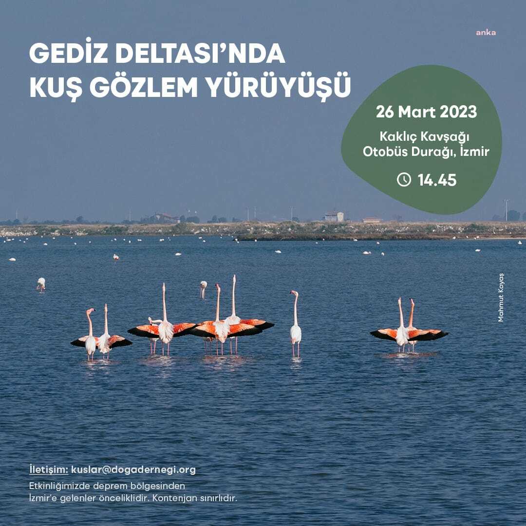 GEDİZ DELTASI’NDA KUŞ GÖZLEM YÜRÜYÜŞÜ