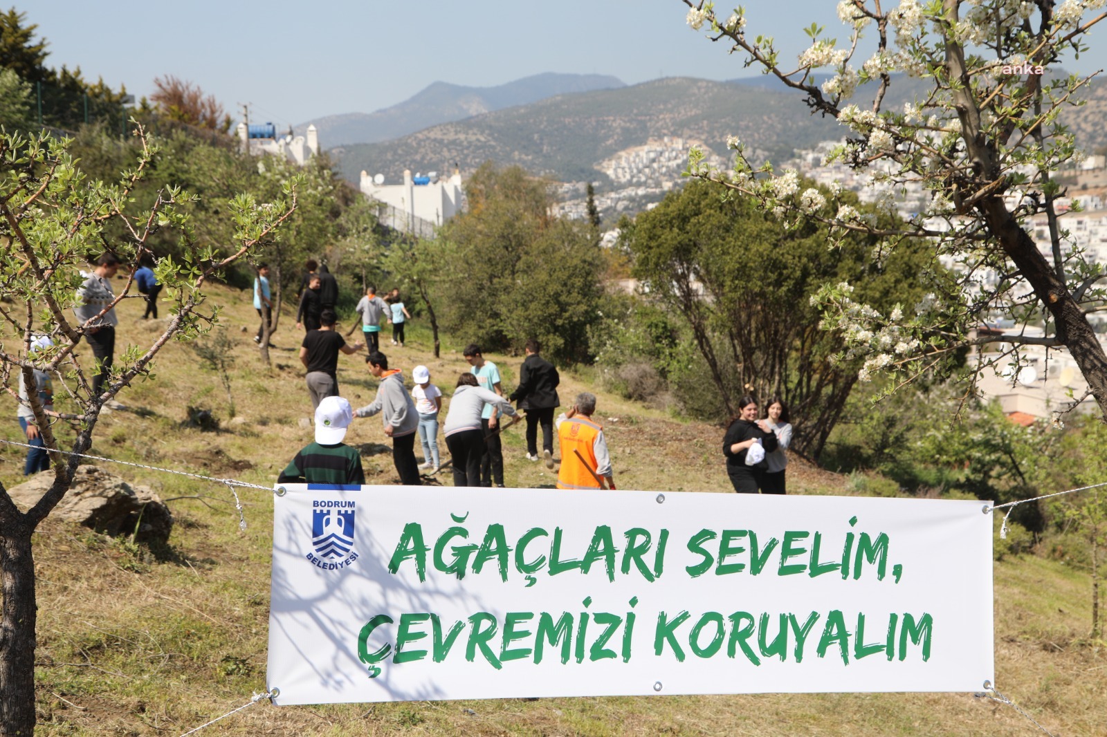 BODRUM BELEDİYESİ'NDEN FİDAN DİKİM ETKİNLİĞİ