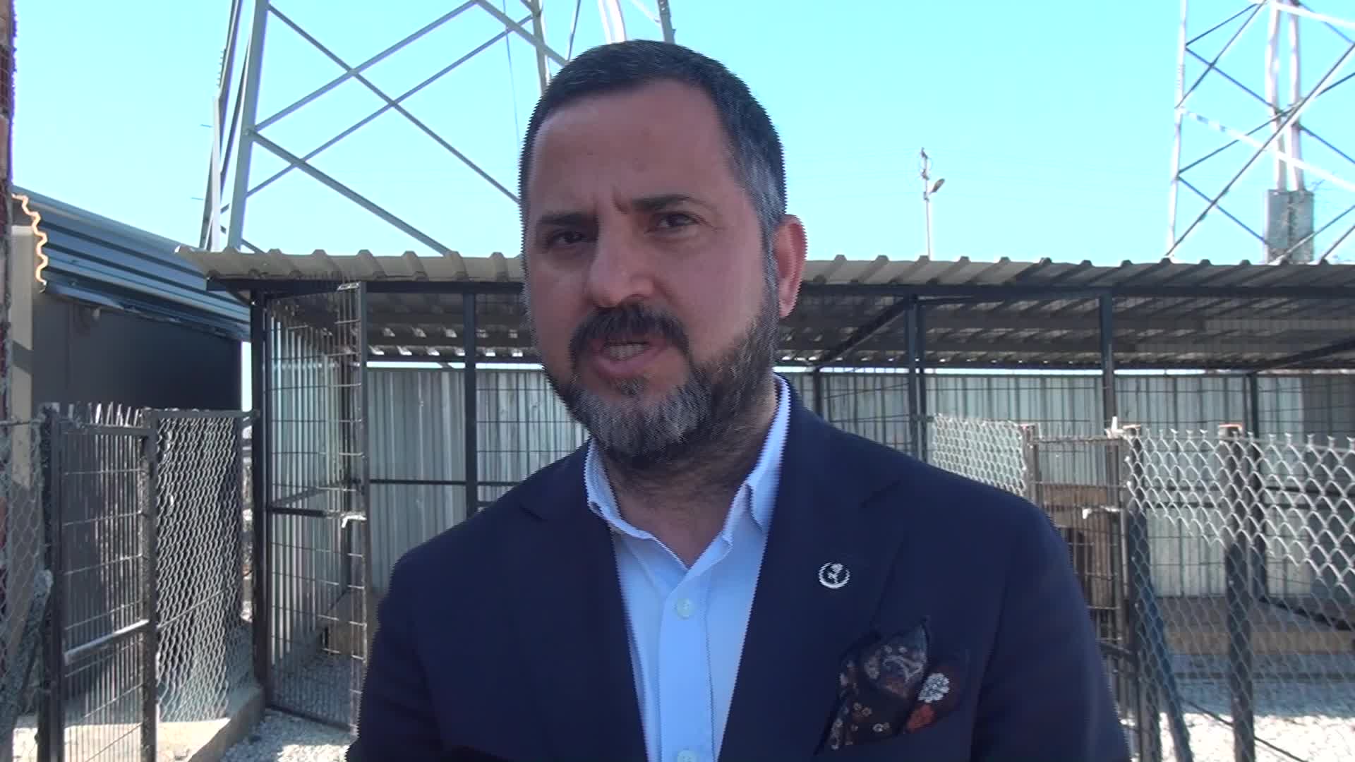 SİNOP’TA GÖNÜLLÜ VATANDAŞLAR, YARDIMA MUHTAÇ SOKAK HAYVANLARI İÇİN BARINAK KURDU