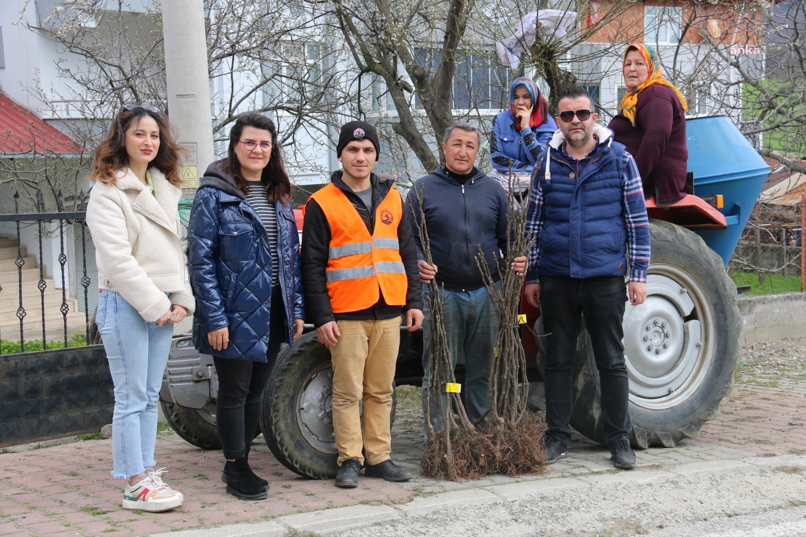 ATAKUM BELEDİYESİ’NDEN ÜRETİCİYE İNCİR FİDANI DESTEĞİ