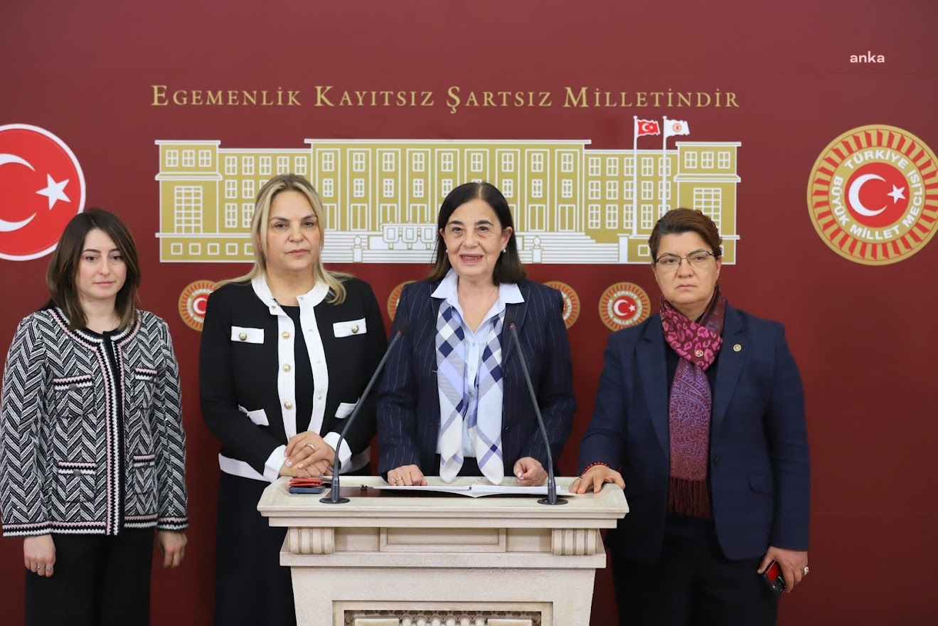 JALE NUR SÜLLÜ: KADINLARIN SANDIKTA GEREKEN DERSİ AKP İKTİDARINA VERECEĞİNE YÜREKTEN İNANIYORUM