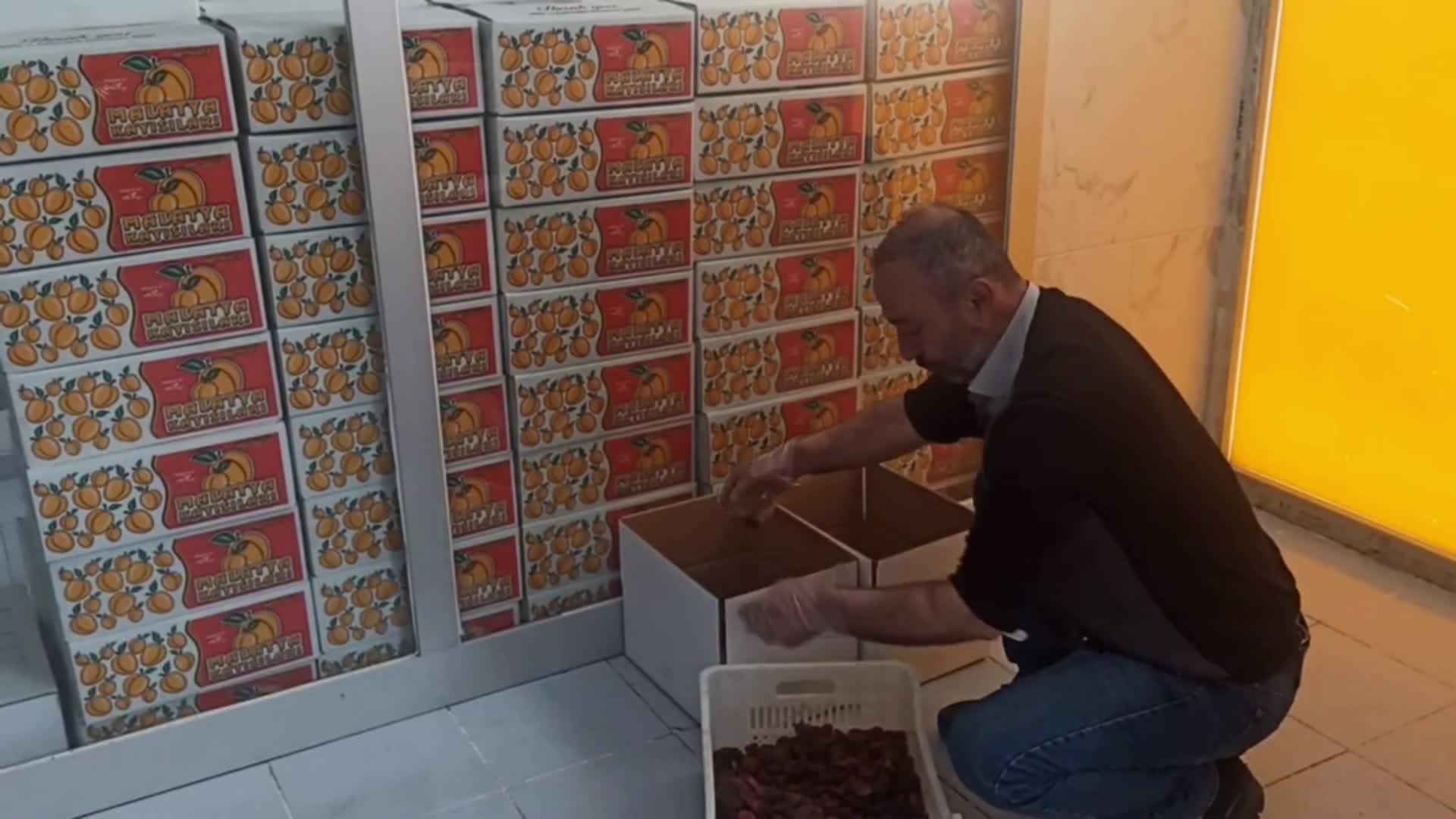 BODRUM BELEDİYESİ DEPREMZEDE VATANDAŞTAN 1 TON KAYISI ALDI