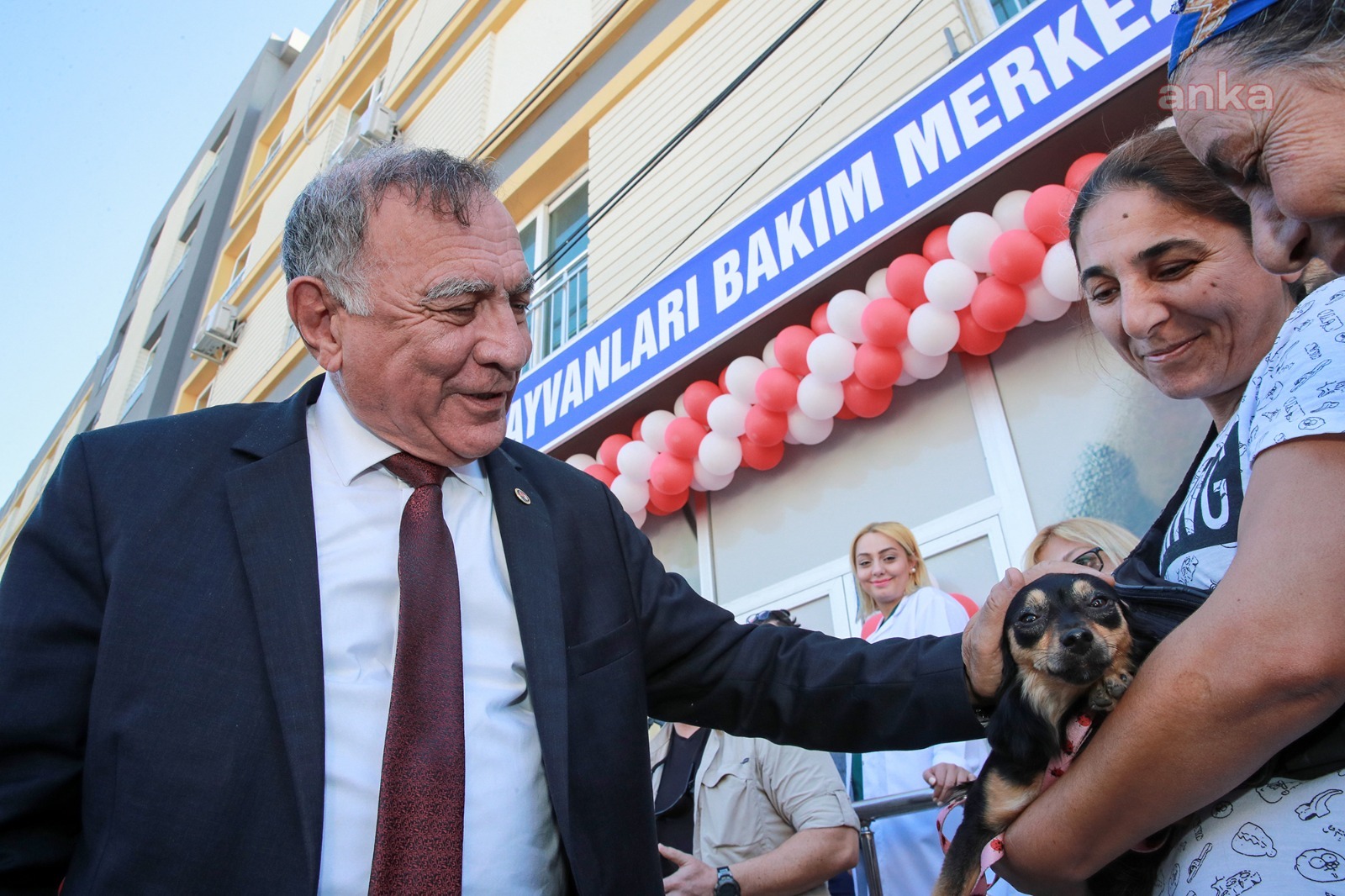 SEYHAN'DA 6 AYDA BİN SOKAK HAYVANI KISIRLAŞTIRILDI