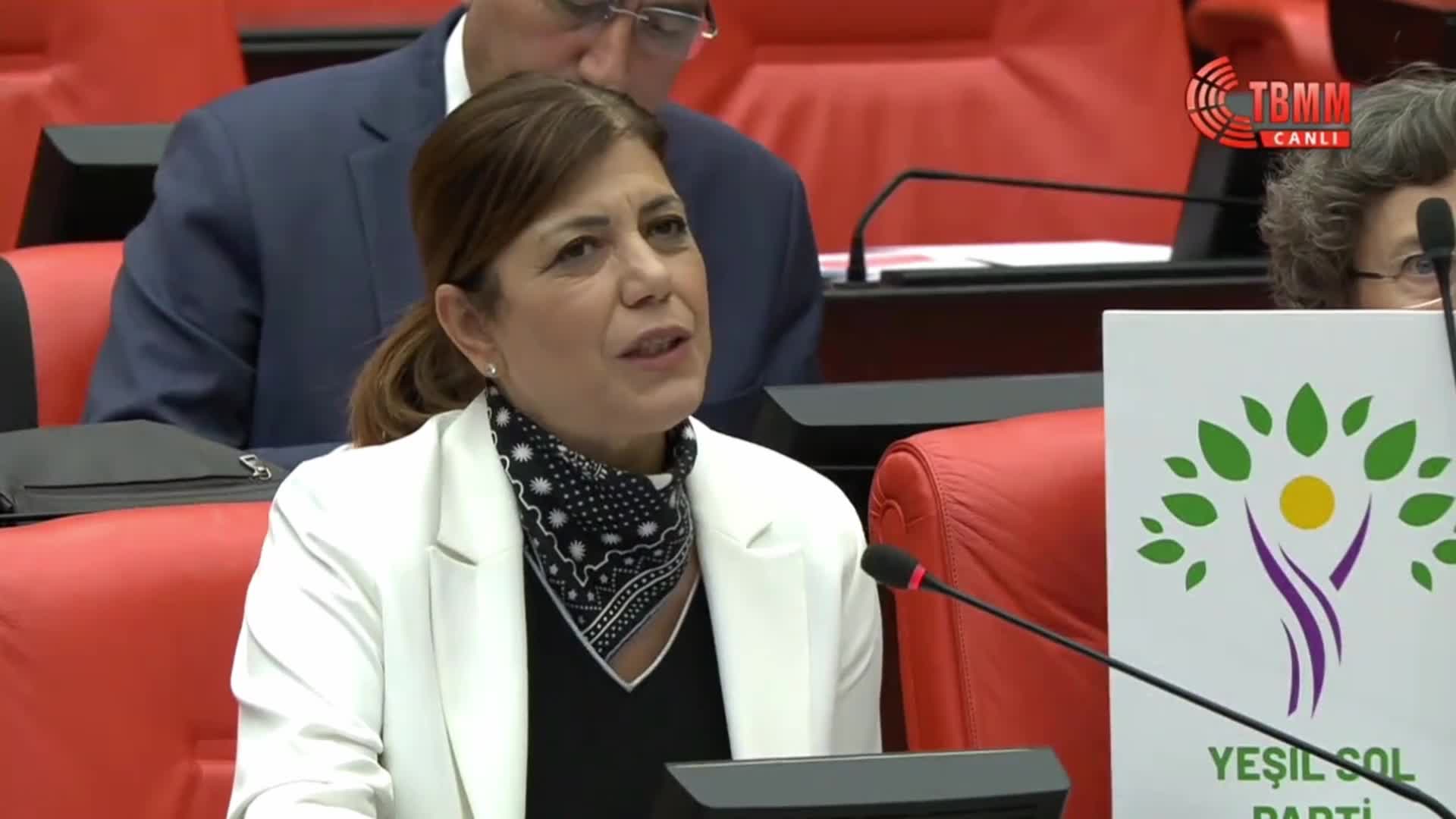MERAL DANIŞ BEŞTAŞ: ELİMDE AKP ÜYE KAYITLARI VAR. BUNLARIN BİR KISMI BENİM YAKIN AKRABALARIM. HABERSİZ BİR ŞEKİLDE AKP ÜYESİ YAPILMIŞLAR