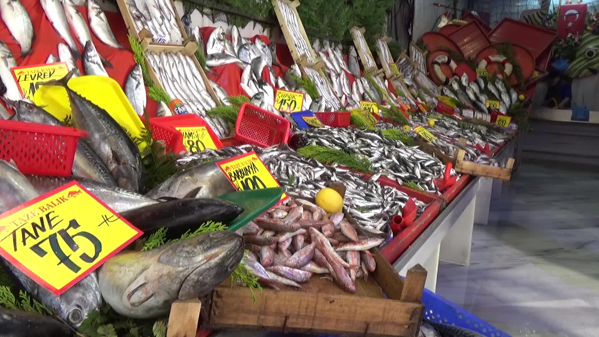 DENİZLERDE AV YASAĞI 15 NİSAN’DA BAŞLIYOR