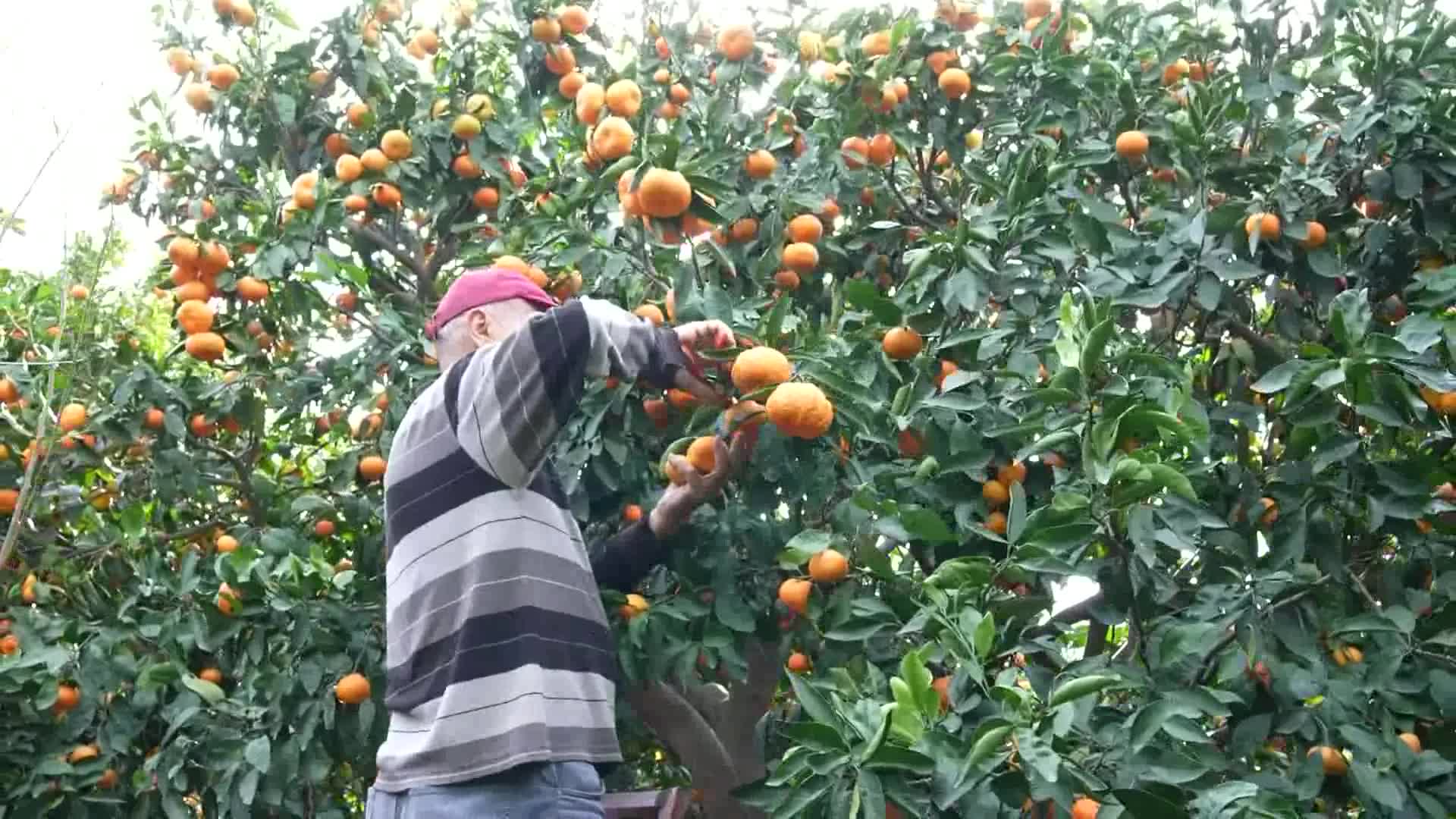 KADIKÖY, DEPREMZEDE ÇİFTÇİLERLE DAYANIŞMAYA DEVAM EDİYOR