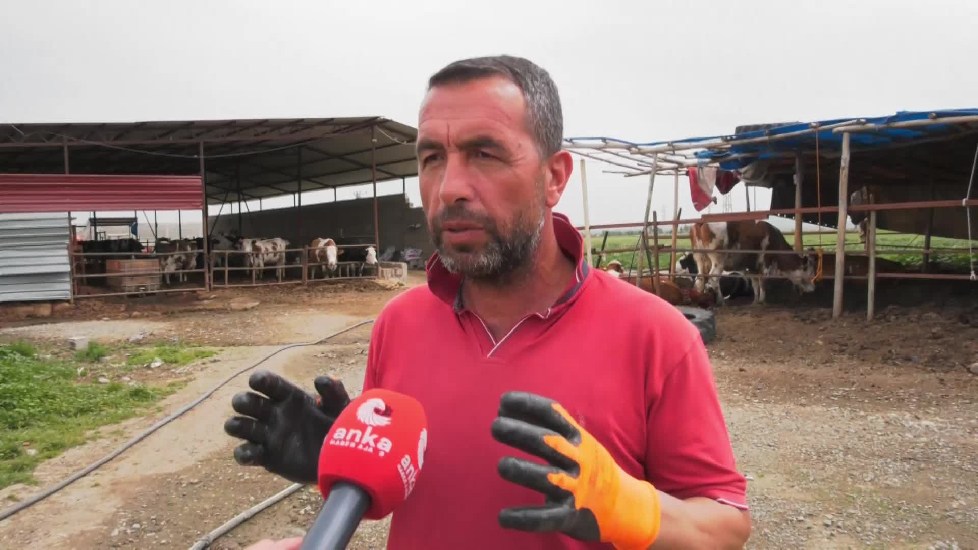 ANTAKYALI BESİCİ: “SEN GÜBREYİ, İLACI, MAZOTU, YEMİ DÜŞÜRECEKSİN, GERİSİ KENDİ KENDİNE HALLOLUR. MALİYETLERİ DÜŞÜRMEZSEN, ÇİFTÇİYE DESTEK ÇIKMAZSAN BU İŞ BİTMİŞTİR KARDEŞİM”