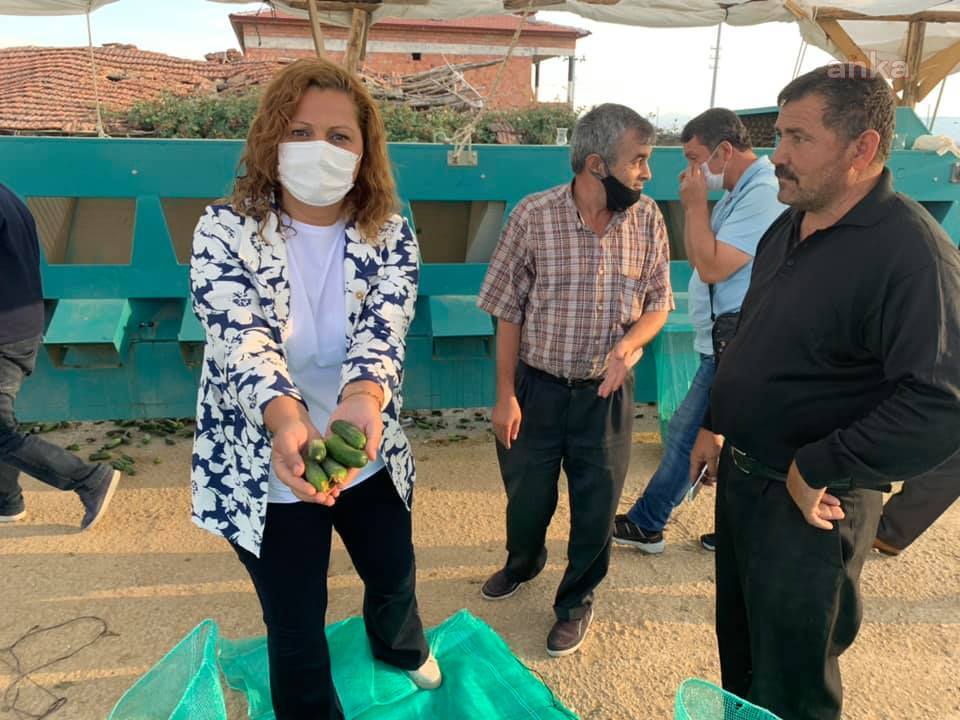 SALATALIKTA DA ÜRETİCİ ZARARLI: 75 KURUŞA MÂL ET 50 KURUŞA SAT