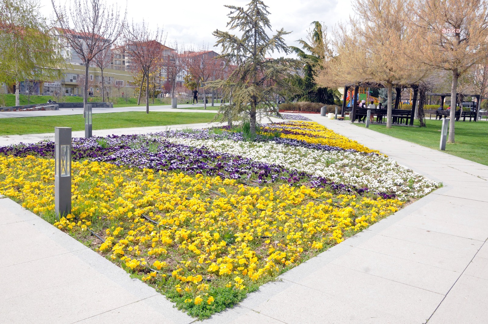 KIRŞEHİR BELEDİYESİ'NDEN KENT PARK’TA TEMİZLİK VE PEYZAJ ÇALIŞMASI