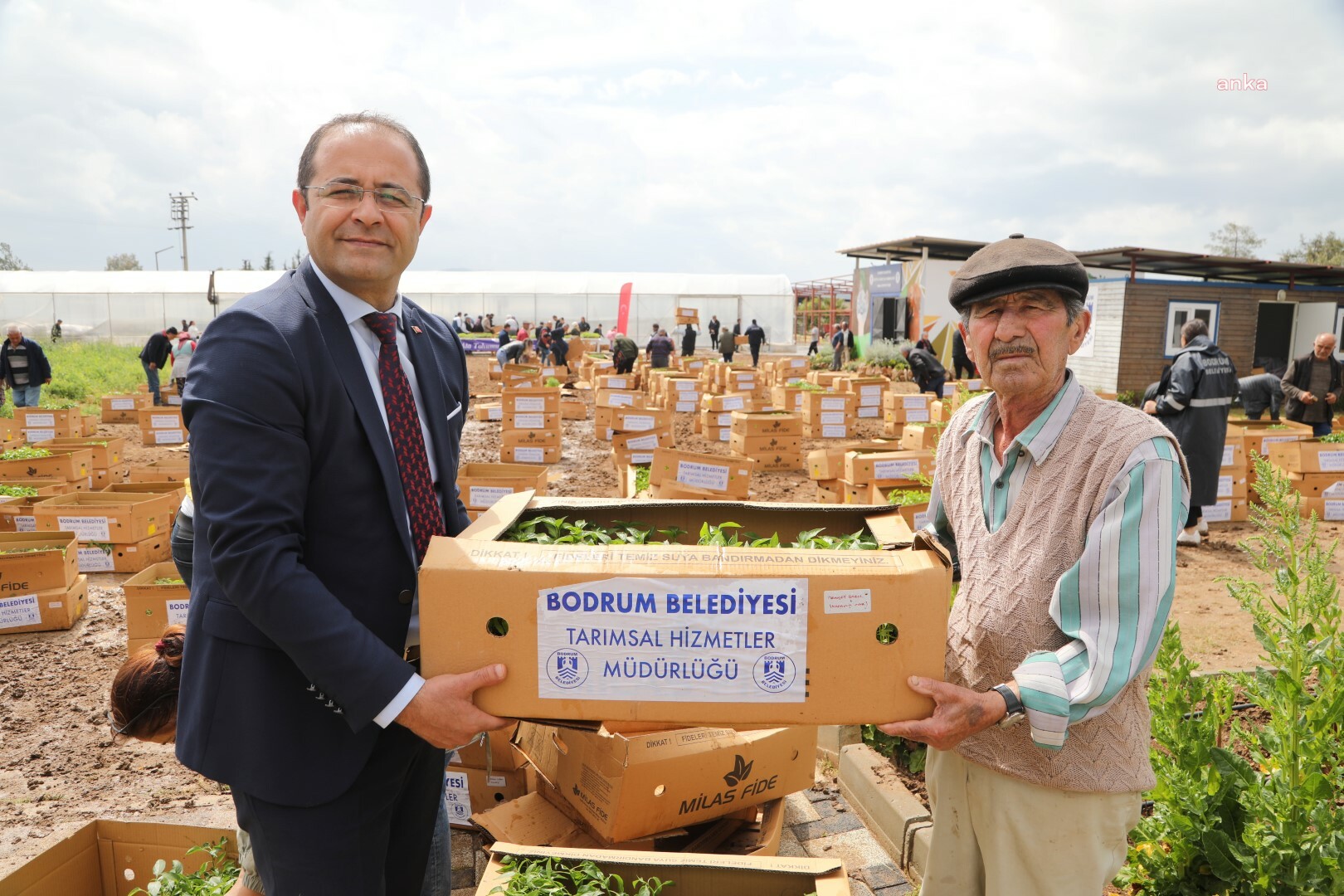 BODRUM BELEDİYESİ, 350 BİN FİDEYİ ÜRETİCİYLE BULUŞTURDU