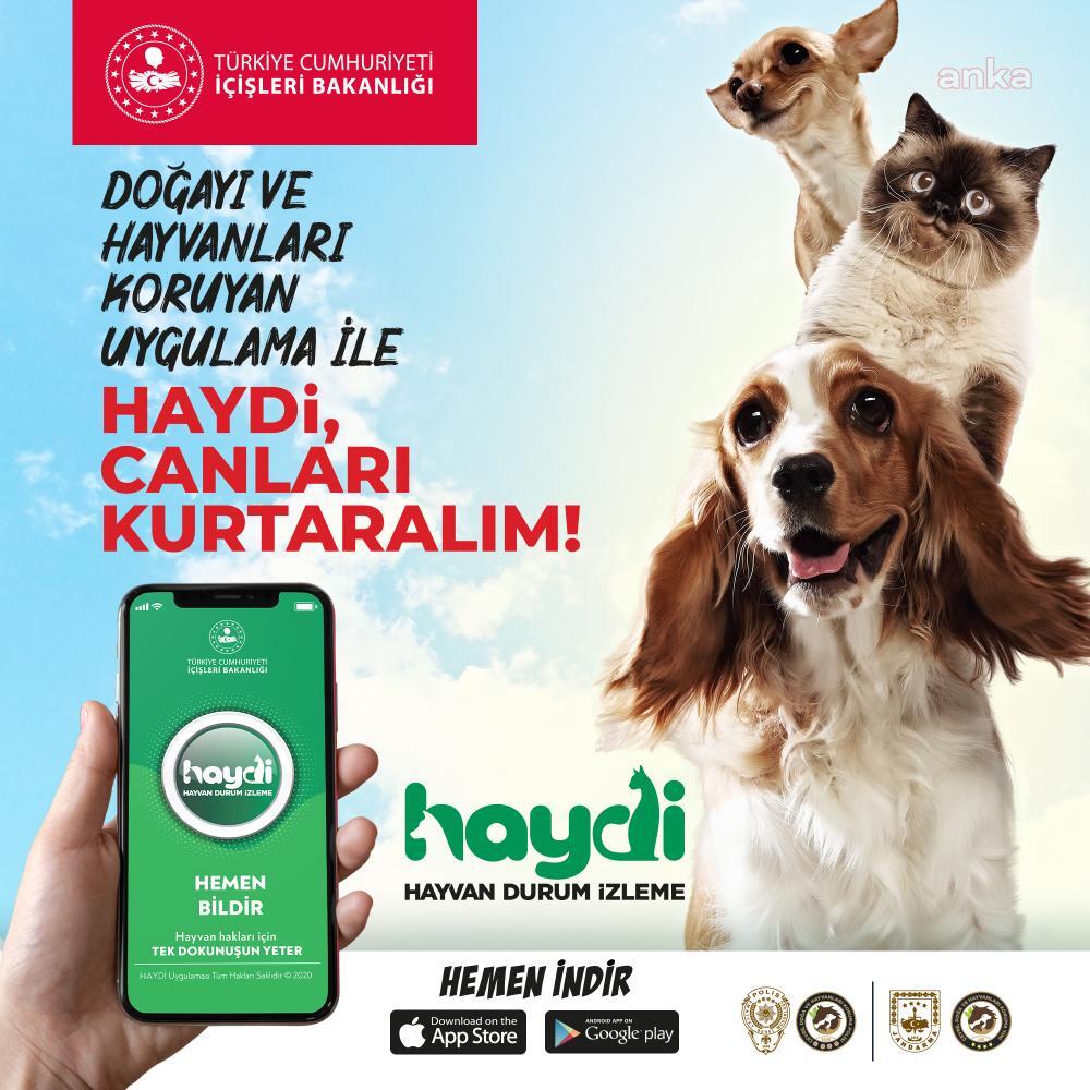 HAYDİ UYGULAMASINI 17 GÜNDE 9 BİN 453 KİŞİ İNDİRDİ