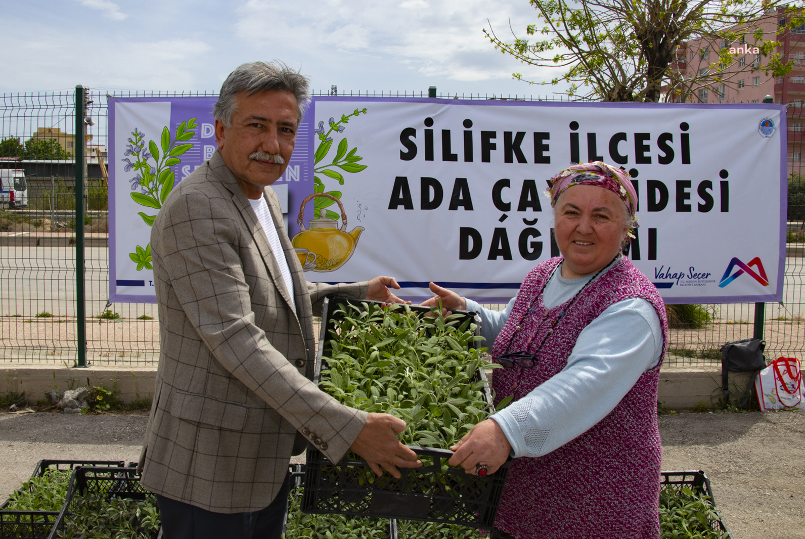 MERSİN BÜYÜKŞEHİR’DEN SİLİFKELİ ÜRETİCİYE 50 BİN ADET ADA ÇAYI FİDESİ
