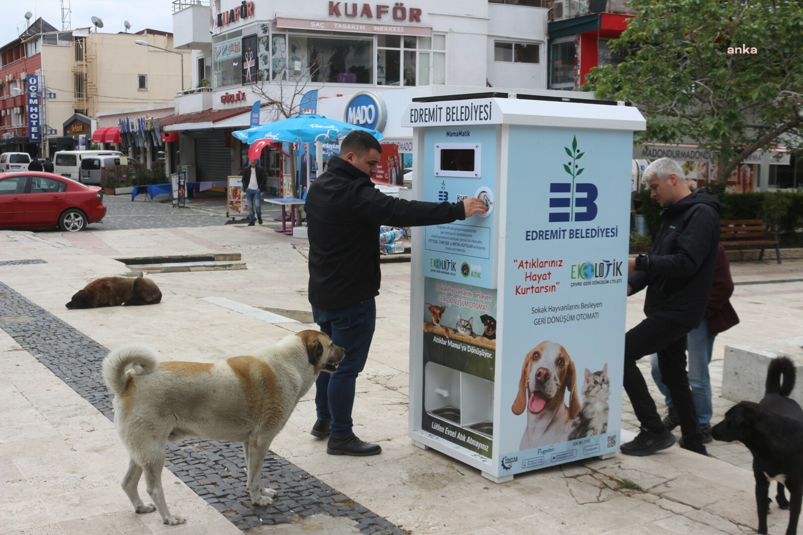 EDREMİT BELEDİYESİ’NDEN SOKAK HAYVANLARI İÇİN ‘MAMAMATİK’ PROJESİ