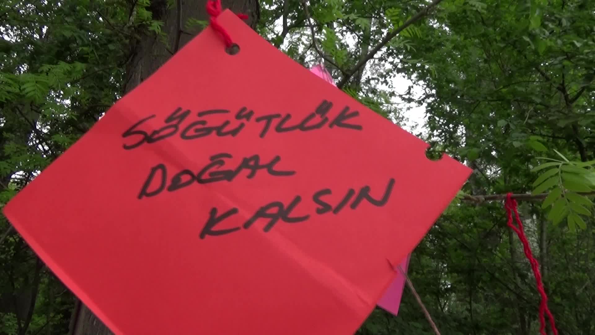 EDİRNE’DE HIDIRELLEZ DİLEKLERİ SÖĞÜTLÜK ORMANININ DOĞAL KALMASI İÇİN ASILDI