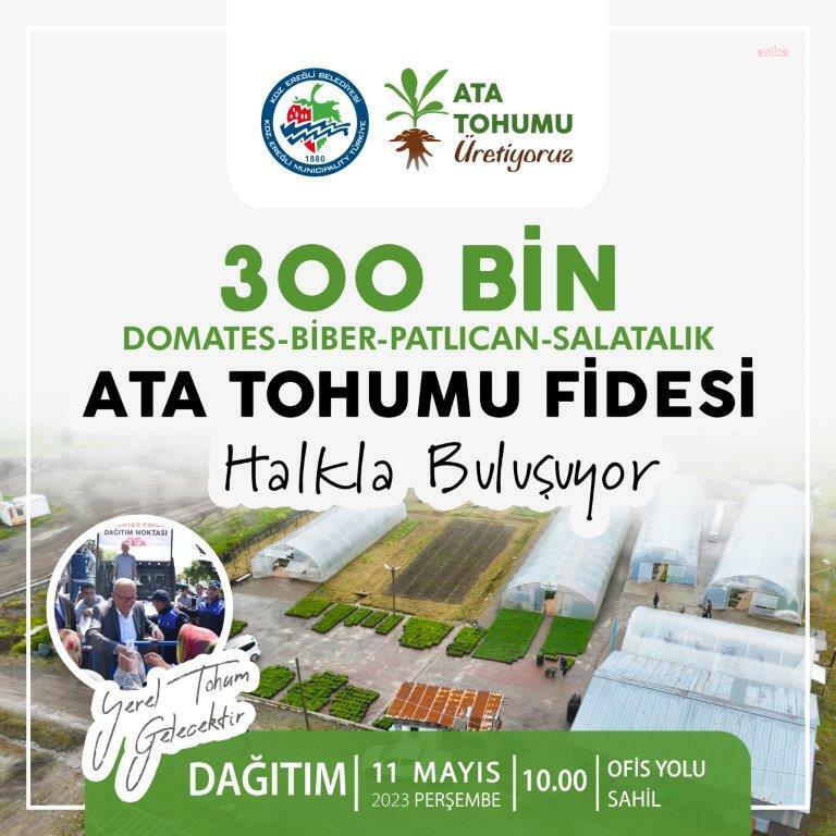 KDZ. EREĞLİ BELEDİYESİ, 300 BİN ATA TOHUMU FİDESİ DAĞITACAK
