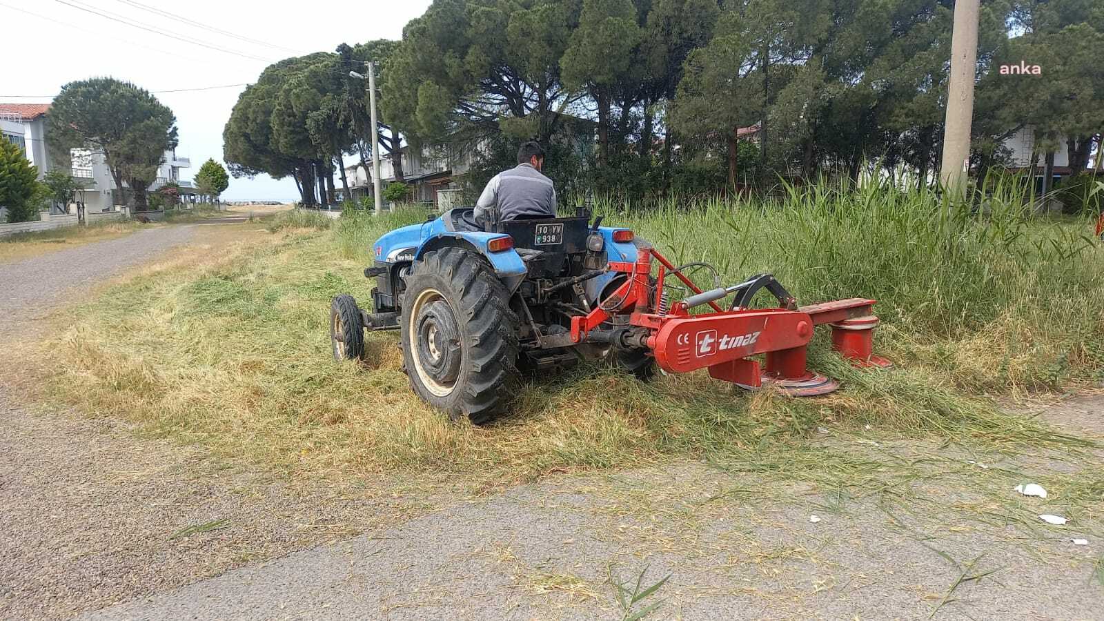 AYVALIK BELEDİYESİ, PARK VE BAHÇELERDE TEMİZLİK ÇALIŞMALARINI SÜRDÜRÜYOR