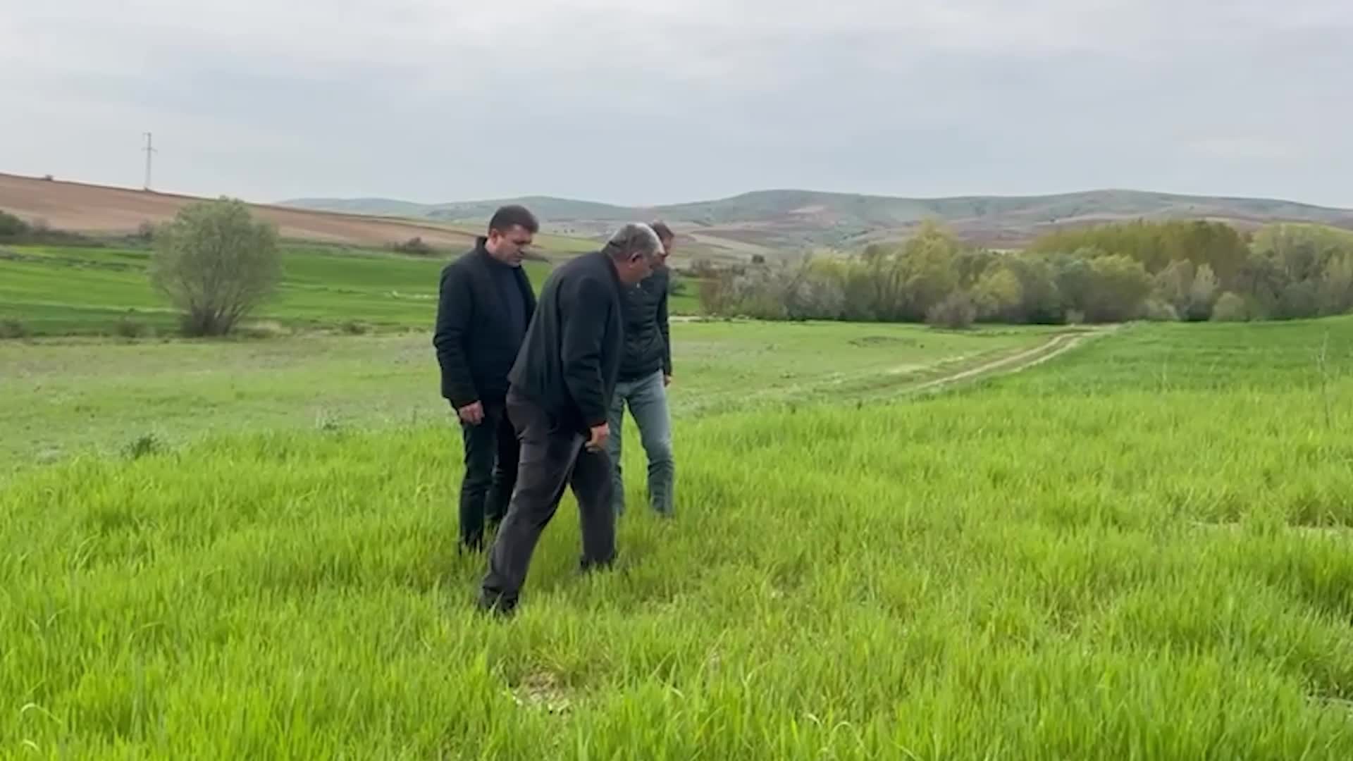 YOZGAT ZİRAAT ODASI BAŞKANI AÇIKGÖZ'DEN ÇİFTÇİLERE 'PAS' UYARISI: EKİLİ ALANLARA İLAÇLAMA YAPILARAK VİTAMİN DESTEĞİNDE BULUNULMALI